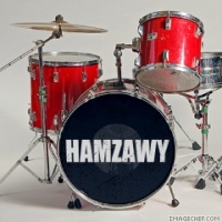 Hamzawy12